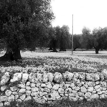 Bed & Breakfast Civico 2 Manduria