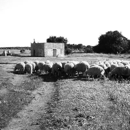 Civico 2 Bed & Breakfast 3*