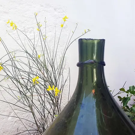 Bed & Breakfast Civico 2