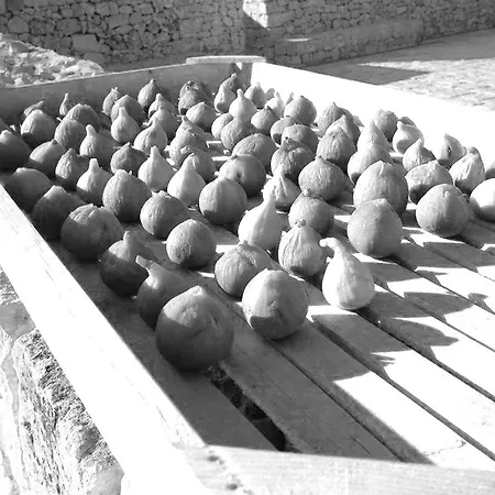 Civico 2 Panzió Manduria