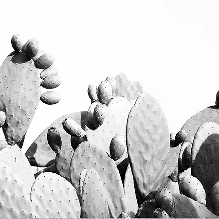 Bed & Breakfast Civico 2 Manduria