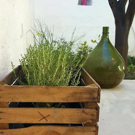 Bed & Breakfast Civico 2