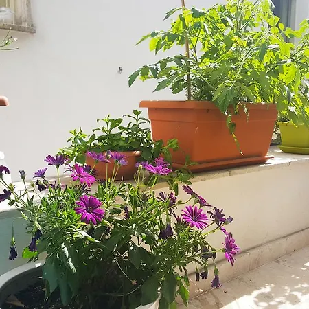 Civico 2